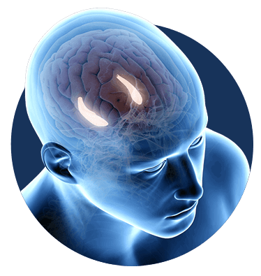 brain screenshot-44-374x395